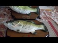HAUNTED big mouth billy bass gets a BEST FRIEND FOR LIFE
