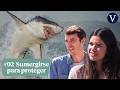 ¿Por qué debería darte más miedo un océano SIN tiburones que uno lleno de ellos?