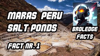 Exploring the Stunning Maras Salt Ponds in Peru - Broledgefacts