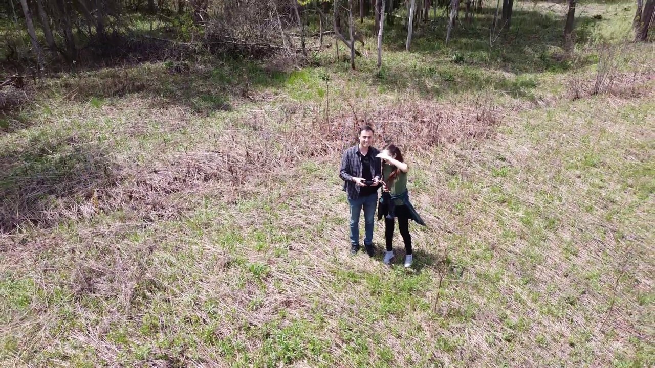 DJI Mavic Mini flight over trees