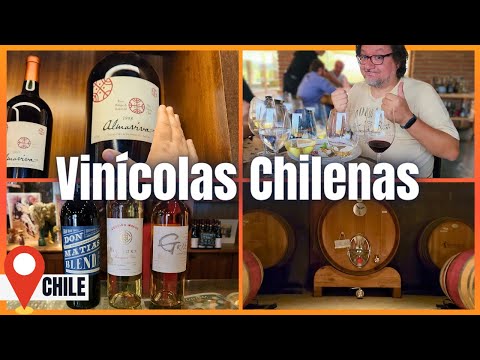 Melhores Vinícolas no Chile: Concha Y Toro, Cosiño Mancul, Miguel Torres e Viña Montes.
