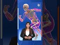How to keep your bones healthy? These 5 things will help you keep your bones healthy