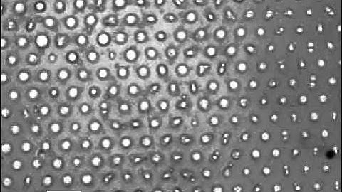 Large scale arrays of tunable microlenses