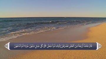 نام های الله متعال در قرآن آیه 260 سوره بقره