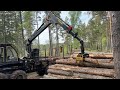 Köp Skotare Logset 5F GT på Klaravik