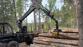 Köp Skotare Logset 5F GT på Klaravik