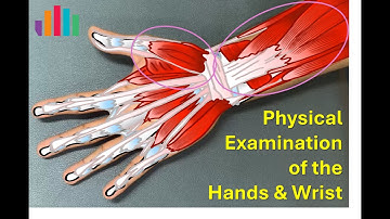 Rheumatology HAND & WRIST Physical Examination FULL