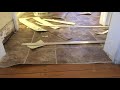 How to transition vinyl floors to hardwood floors carpettoolz.com