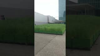 Shorts Technology 22 32 Art 54 2024 Basel Switzerland Agnes Denes 1931