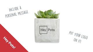 Hey Pots | Small Concrete Candle and Plant Pots | UK MADE