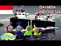 Teletubbies Bahasa Indonesia Klasik - MAIN KAPAL | Kompilasi | Kartun Lucu Anak-Anak