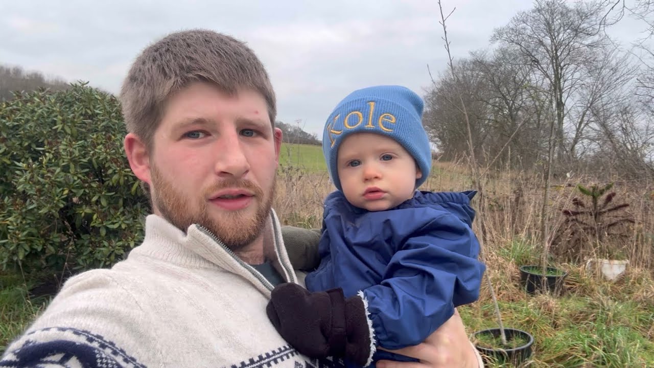 Christmas with four dogs and a toddler 