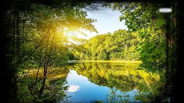 Grunge Effect in Canva  Turn Your Design into Vintage Art!