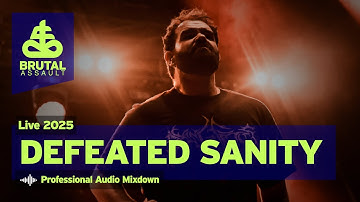 Brutal Assault 28 - Defeated Sanity (live) 2025