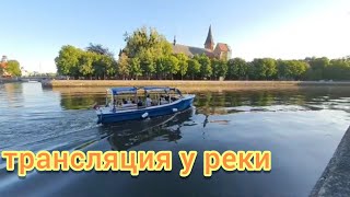 Калининград на 5 минут#калининград#прогулка#рекапреголя