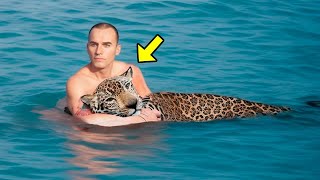 Jaguar Nehirde Boğuluyordu, Sonra Bu Asker Kalbinizi Eritecek Bir Şey Yaptı!