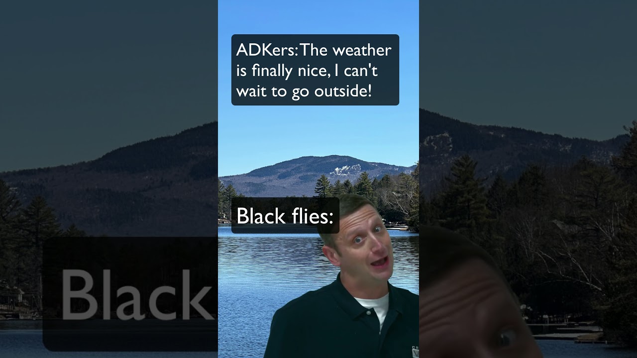 Black Fly Season In The Adirondacks