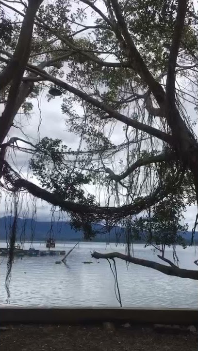 story WA/ instagram laut, danau, pohon, pemandangan indah,
