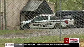 Dog found roaming tests positive for distemper in St. Clair County