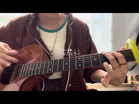 【弾き語り】ファイト！！ / ハルカミライ