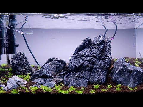 Seriyu Stone Aquascape: