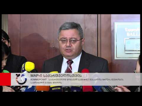 საქართველომ შესაძლოა MAP-ი სექტემბერში მიიღოს