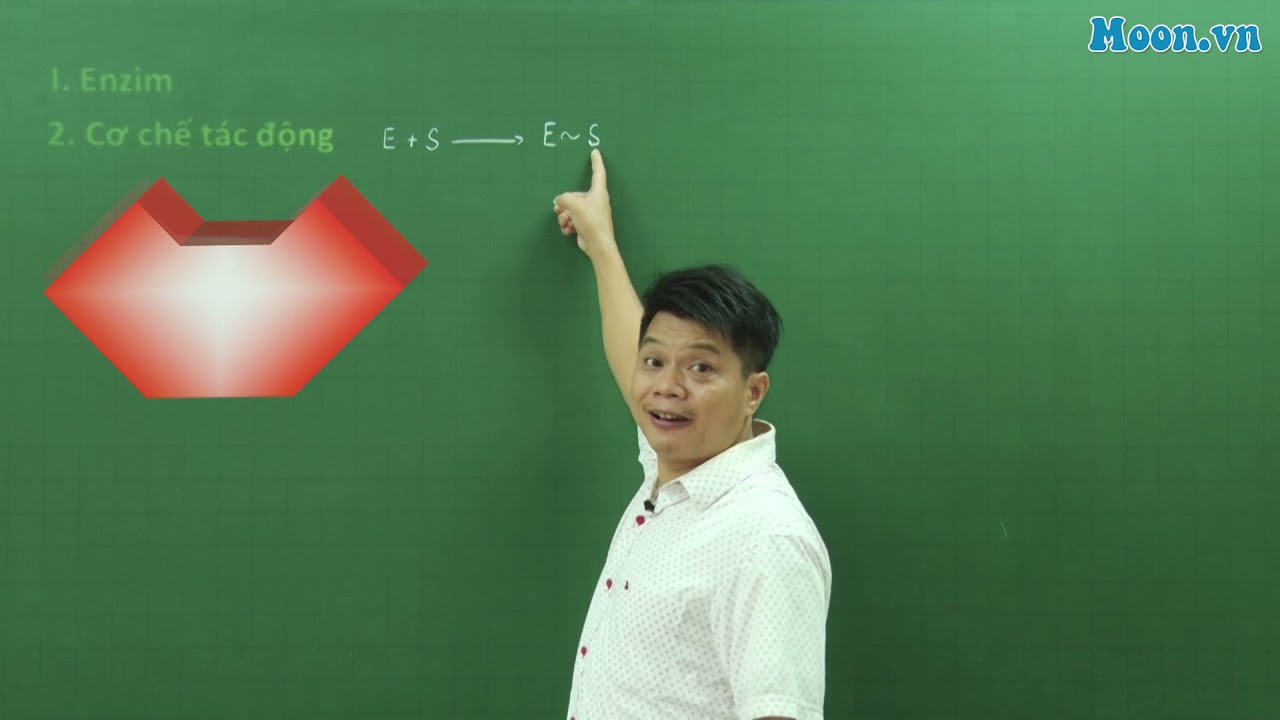 Bài 13 - SH10: Enzim