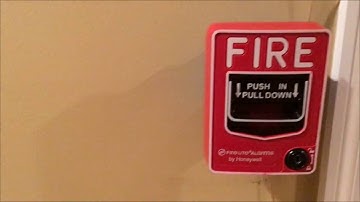 System Test 1. (With Fireman 24 Detector)