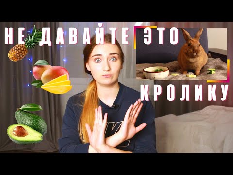 Видео: Едят ли кролики нарисованные ромашки?