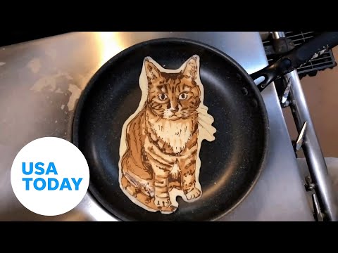 Pancake portraits of pets made by talented Japanese chef | USA TODAY