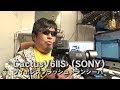 CactusV6llS (ソニー）ワイヤレスフラッシュトランシーバーを購入。ざっくり使い方の説明も！