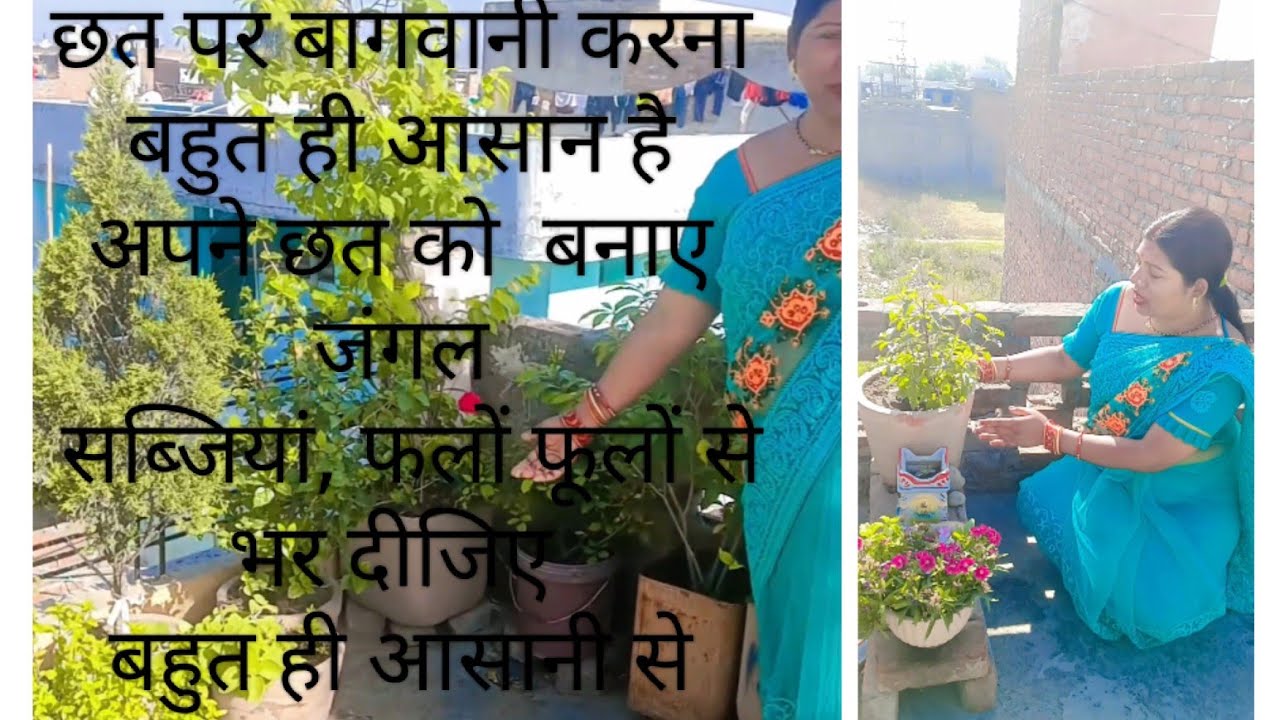 easy-way-to-gardening-how-to