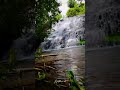 Pivate Waterfall in kodaikanal | kodaikanal Short | 9025368382 @NathanVK
