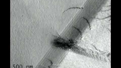 Dislocation interaction with grain boundaries