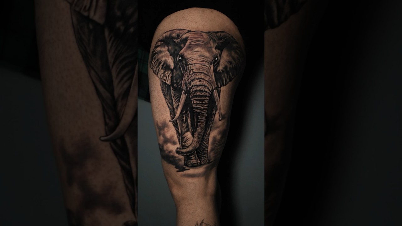 Realistic Elephant Tattoo ☎️ 8800878580 for Appointments 