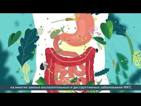 Video: Gastrointestinálna Zbierka Fitogastrol - Návod Na Použitie, Recenzie