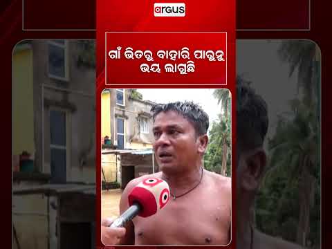 ଗାଁ ଭିତରୁ ବାହାରି ପାରୁନୁ, ଭୟ ଲାଗୁଛି | Odisha Flood | Flood Alret | Argus News