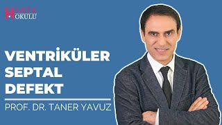 Ventriküler Septal Defekt (VSD) | Kalpte Delik | Prof. Dr. Taner Yavuz