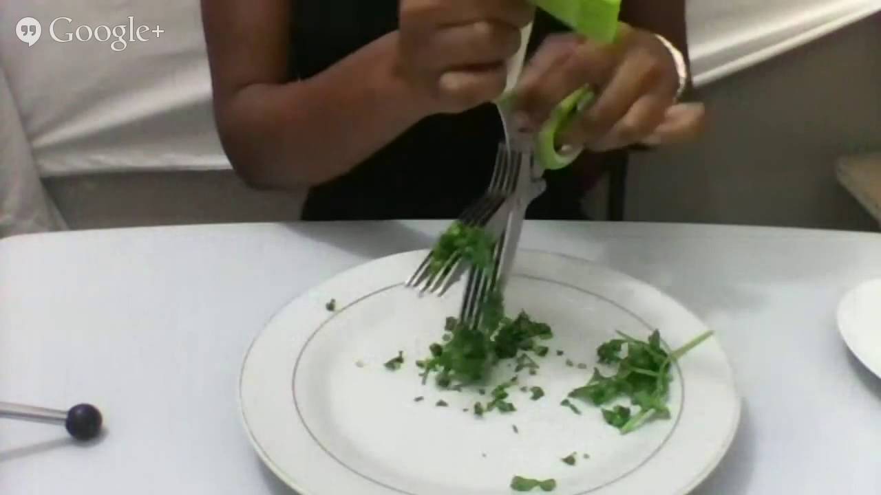 Jenaluca Herb Scissors Review - Simply Amazing - 5 Blades, 5 Times Faster Prepping Time