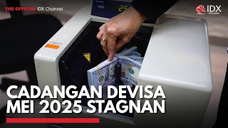 Cadangan Devisa Mei 2025 Stagnan | IDX CHANNEL