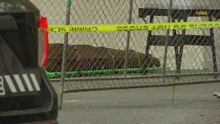 Person from 1800s buried in iron casket set to be re-buried