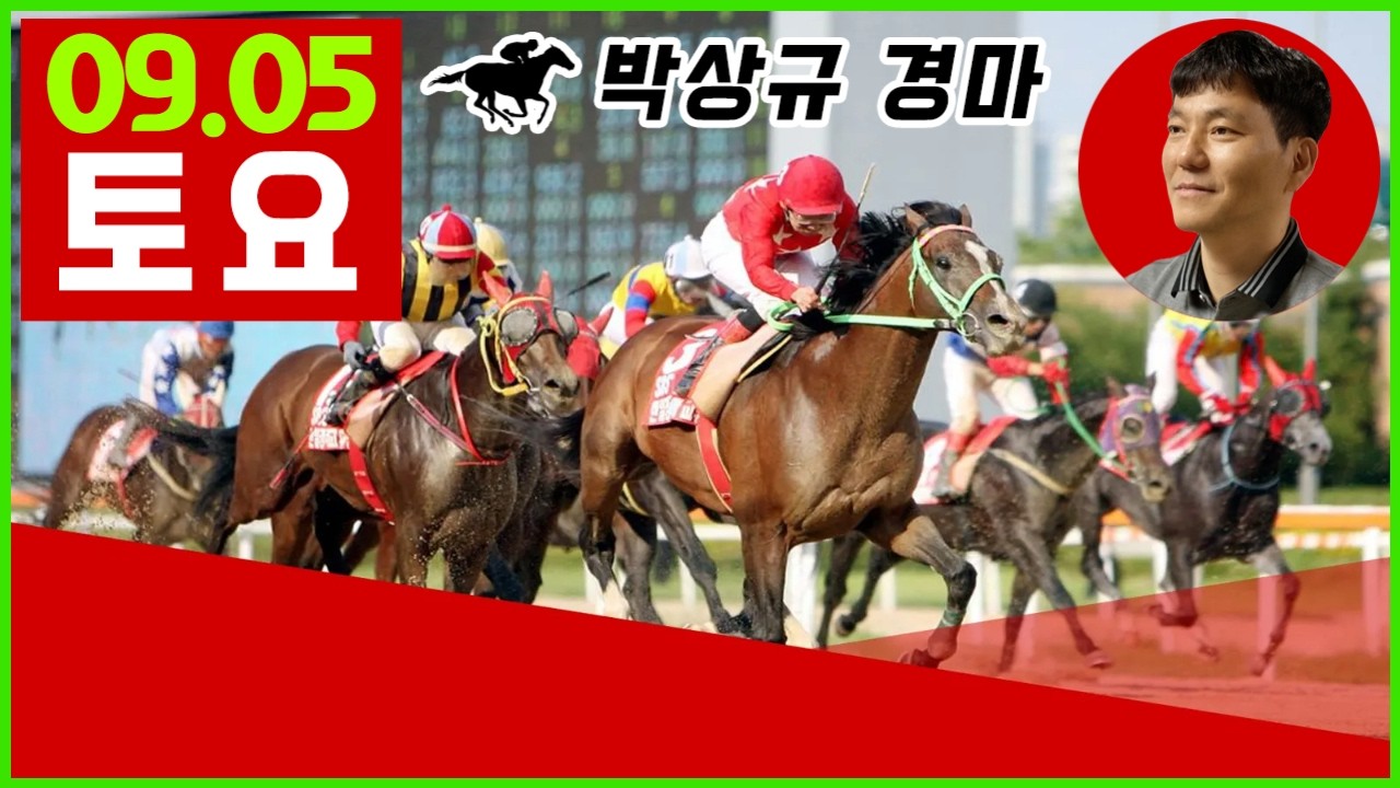 2026년 9월5일 토요 경마, 방송 보신분들 모두 좋은 결과 있기를 기원합니다.
