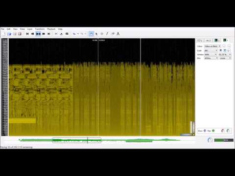 11B 3 1369 Spectrogram Channel 2