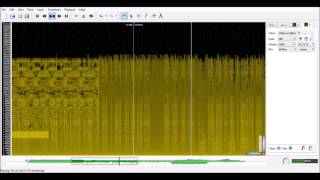11B 3 1369 Spectrogram Channel 2