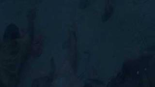 Hotel Rwanda - music video