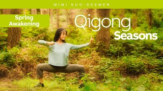 Qigong Seasons: Spring Qigong for Renewal & Flow | Wood Element with Mimi Kuo-Deemer