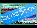 Dollar Bead Box and Bag Monthly Subscription | Sept 2020