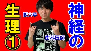 わかりやすすぎる！神経の生理①(中枢神経 抹消神経 ニューロンのつくり)【解剖生理学22】