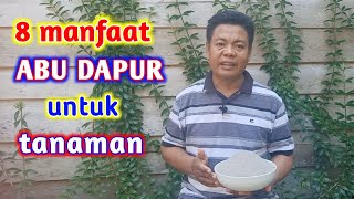 8 Manfaat Abu Dapur Untuk Tanaman