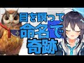 ふくろう命名を目を瞑ってランダムに行ったら奇跡がおきちゃった空星きらめ